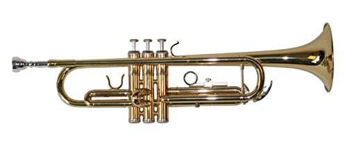 Karl Glaser Trompette en Sib, en laiton laqué, avec embouchure et mallette Cover