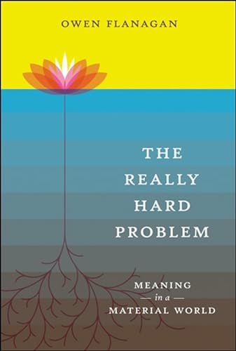 The Really Hard Problem view 2