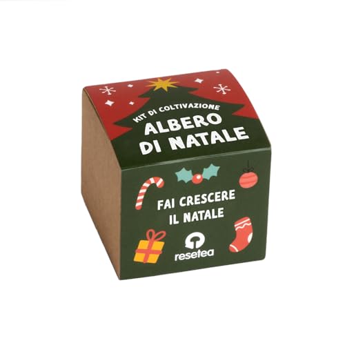 Kit de árbol de Navidad | Cultiva tu propio árbol de Navidad en casa | Regalo original, sostenible y encantador | Resetea