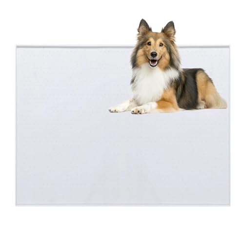 Lifetips VFbghV[vhbO gC}`FX^[eA ybggC}bg VR h ~ 􂦂  L V[gh~ g[p t[Oی ybggC}bg VR}bg ΍ gCV[gŒ 