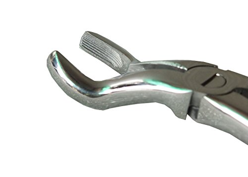 ADDLER DENTAL FORCEP UPPER THIRD MOLAR. SERRATED HANDLE NO GP 67 A. Life Time Anti Rusting Warranty. (B06XPF5KFM) Amazon Price History, Amazon Price Tracker