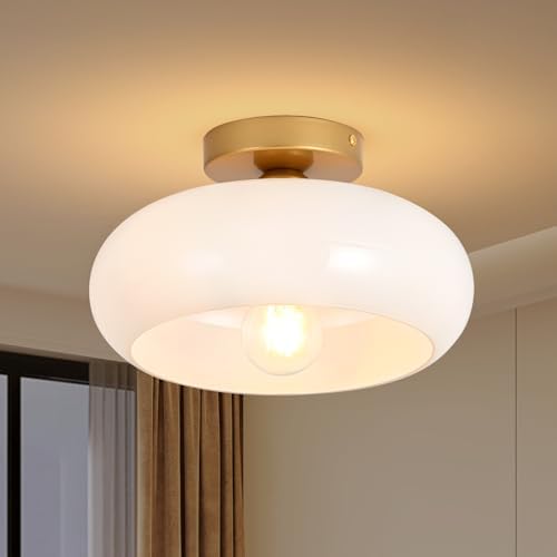 Noarjaer Mini Hallway Ceiling Light Fixtures Modern Resin Flush Mount Ceiling Lighting Flower