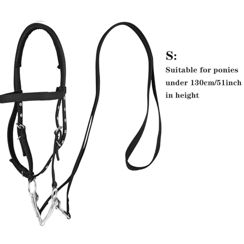 Cabestro para caballo ajustable con ramal grueso y testera acolchada 5