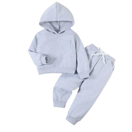 Toddler Girl Boy Long Sleeve Clothes Sets Hoodie Top Pullover Sweatshirt and Pants 2Pcs Unisex Tracksuit Sets