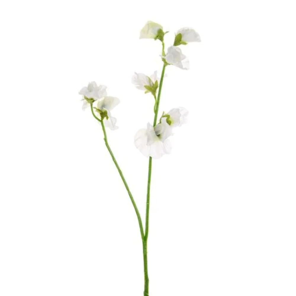 DFS Silk/Artificial Flower Cream Sweet Pea Stem,Bouquet,Florists/Floral/Craft