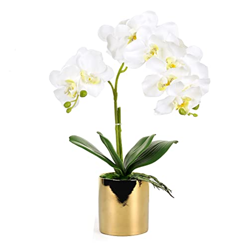 Fleurs d'orchidée artificielles en soie - Orchidée phalaenopsis - Orchidée artificielle en pots dorés - Pour cuisine, fête, chambre, centre de table, salon