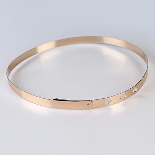 Women's Waistband Plate Waist Fashion Metal Belt Mirror Band, Gold, 76 x 2 cm3
