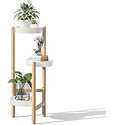 Willing plant 台座 3点セット【hope】 2025年最新】willing