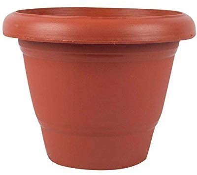 Ajaya Enterprises Flower Pot/Planter Big Size (30L) Janata