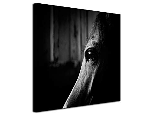 DECLINA – Cadre Mural Cheval – Ambiance Équestre Raffinée – Photo sur toile – Atelier français – 50x50 cm