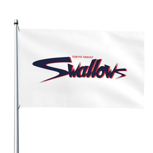 NgX[Y 싅̊   ^pi Ԍ 뉀 LO 4x6ft/122x183cm