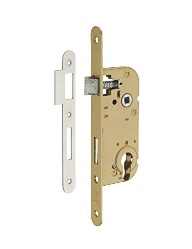 SERRUPRO - Boitier de serrure encastrable pour porte d'entrée - V/BR Cover
