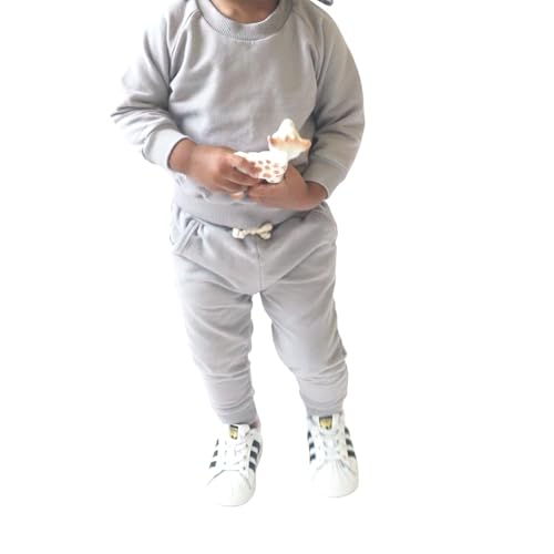 Baby Boys Sweatsuit Set Organic Cotton Toddler Boys Clothes Fall Outfits 2 Piece Top and Pants Clothing Sets2