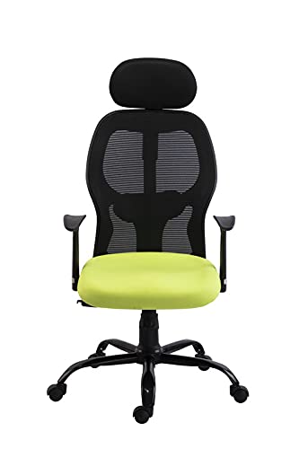 Bluebell Glen High Back Ergonomic Office Revolving/Executive Chair with Headrest and Lumber Support (Black-Green)