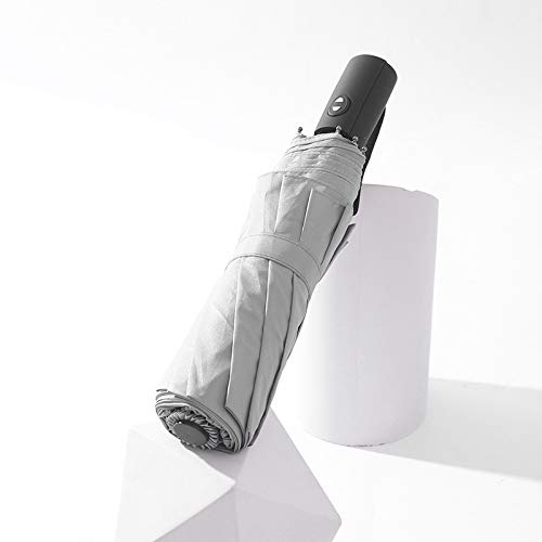 RENEESME Umbrellas For Rain Automatic Umbrella Folding Business Umbrella Unisex Umbrella Strong Umbrella For Wind And Rain(D)
