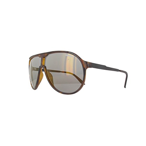 Carrera-new champion_l-l2l_ct a