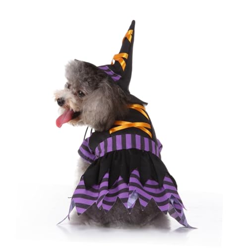 Disfraz Halloween de Bruja para Perros Talla L miniatura 6