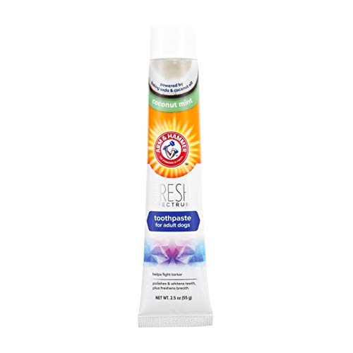 ARM & HAMMER Pasta de Dientes Perro Coco y Menta 55g