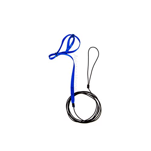 Image of The AVIATOR Pet Bird Harness and Leash: Mini Blue