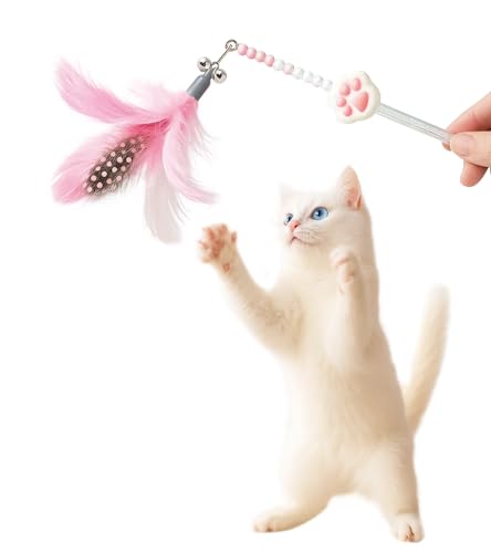 HOLYCAT L 炵 L   킢 zO L炵 H ˂ߋ VRH Ĥ lV LV  t  VR̉H ӂӂ  ^s XgX Lbg L ߋ ybgpi s