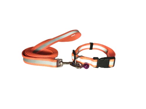 RvPaws Reflective Safety Dog Leash Collar for Puppy Radium Set 0.5 Inch with Bell for Cats and Kitten 15 MM (Orange) (B09NBZ49N7) Amazon Price History, Amazon Price Tracker