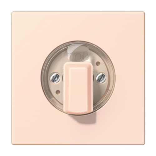 Plaque centrale bouton de commande LC32082 JUNG LC1941226 encastrable