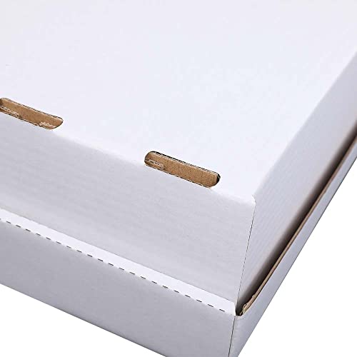 Caja para almacenamiento de tarjetas G-PLUS 3000 unidades miniatura 6