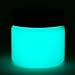 Glow in The Dark Paint - Premium Artist's Acrylic - 1 Ounce (Neutral Aqua) - 10+ Colors Available