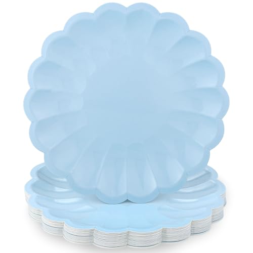 NatNarr 30 Pcs Light Blue Paper Plates 9.5 In Blue Plates Disposable