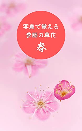 写真で覚える季語の草花(春)