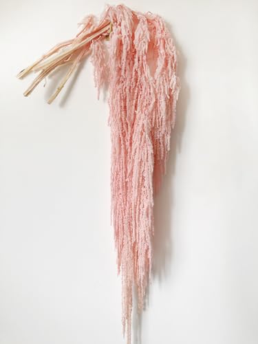 5 flores secas preservadas Amaranthus para decoración miniatura 1
