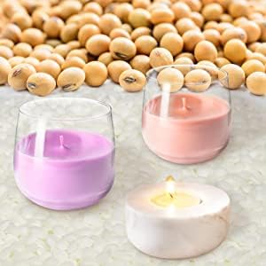 VEGISHINE Cera Di Soia Per Candele, Naturale Cera Di Soia Per