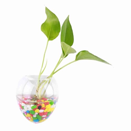 Zerodis Terrario Sospeso in Vetro per Piante Acquatiche, Contenitore per Fiori da Parete Ideale per Decorazione Casa e Giardino Interno (Modello 6)