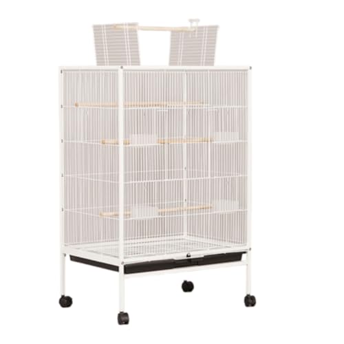 [Vzck]  P[W ^  LX^[t  тȂ IEp  ^ gbv_uhAƓVt ogC t r ȒPɈړł ȒP IE uo[htB`CRIJCRp