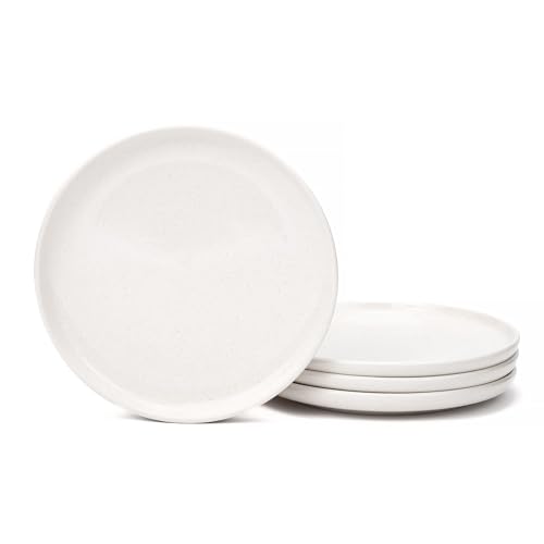 OTAGO Ceramic Dinner Plates Set of 4, 8 Inch Glaze