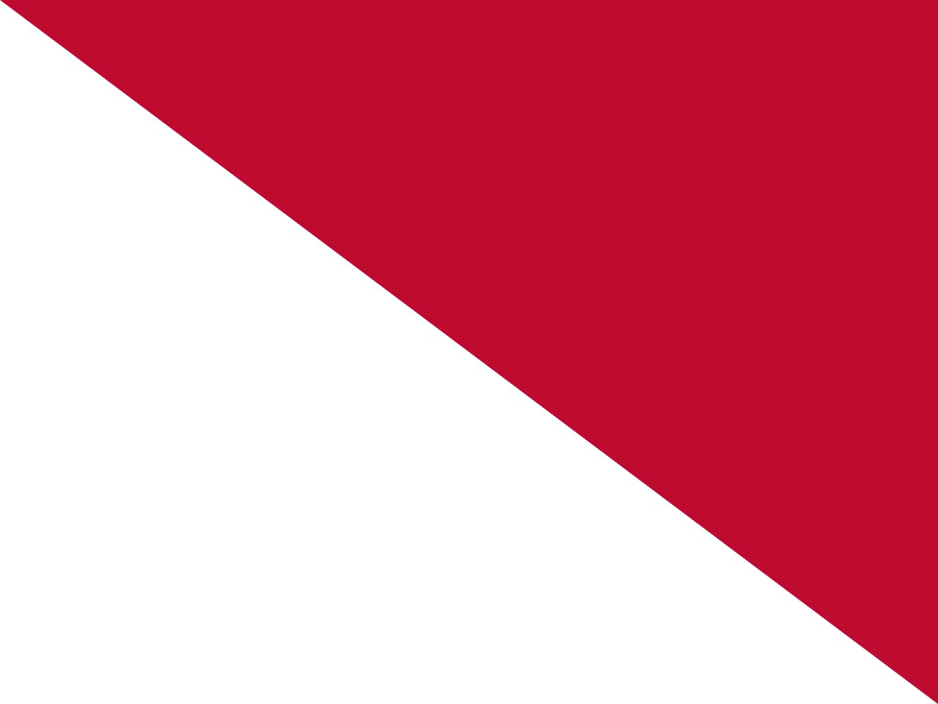 Drapeau grand format Texas Navy Signal Flag 7 finition premium