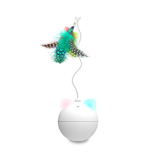 L L Ĥ lC  360° ] {[ LED {[ d ^u[ ybgߋ VRH XgX ΍ ^s L pi (zCg)