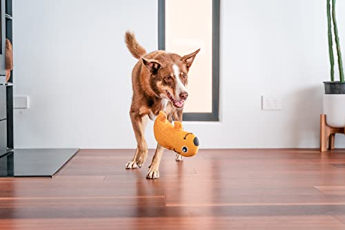 Red Dingo Wendy The Wombat Durables