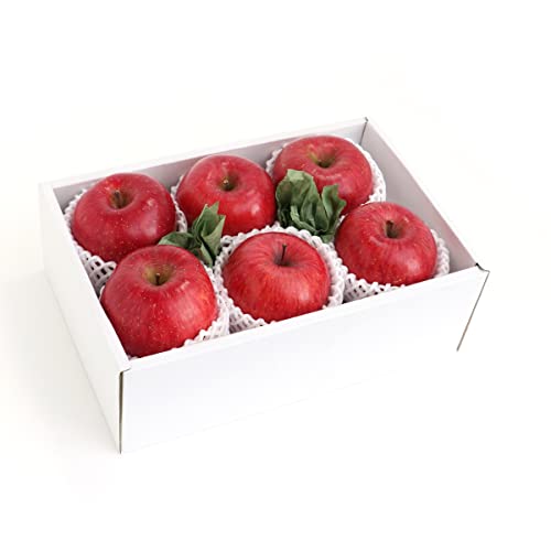 Tӂ 1.5kg i5`6j t[c}CX^[I [Tӂ 1] ʕMtg 蕨 j 䌩 a j wj Џj v[g 䋟  ~Mtg Ε Ε RT