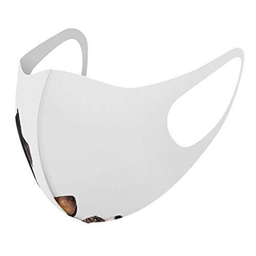 [igsticker] fUC }XN QZbg |GXe 􂦂 z}XN jp 008190 Aj} ʐ^    zCg