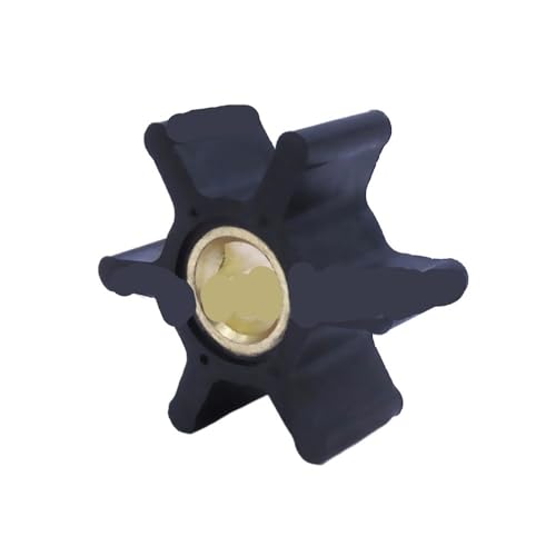 Turbine de pompe à eau pour l'hivernage de bateau 1GM10