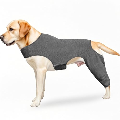 Hoclauho Hundeschutzanzug Nach OP mit Leckschutz Body für Hinterläufe Alternative zum E Kragen, OP Wundschutz Genesungshilfe ideal für postoperative Pflege Mobilitä