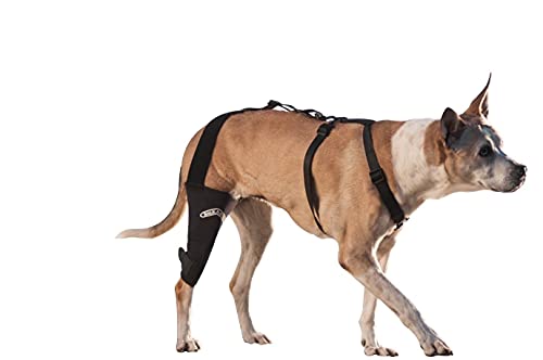 Image of WALKABOUT Knee Brace (Xxxsmall right (3-4.5 inch))