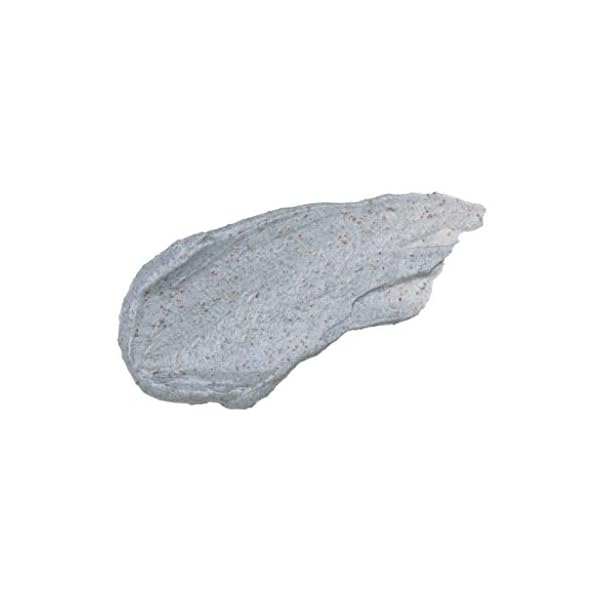 Pacifica-Underarm-Detox-Scrub-Coconut-and-Charcoal-7-oz Pacifica Beauty, Coconut and Charcoal Underarm Detox Body Scrub, For Natural Deodorant Users, Aluminum Free, Safe for Sensitive Skin, Vegan & Cruelty Free