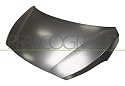 PRASCO HN2023100 Motorhaube Kompatibel mit HYUNDAI i20 PB, PBT