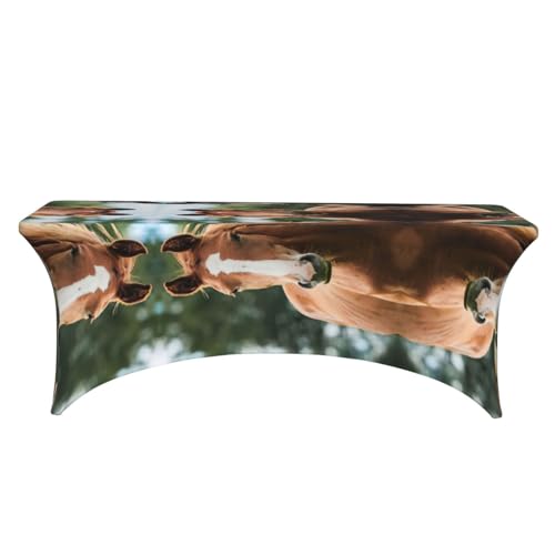 Nappe de table extensible chevaux pour protéger et décorer vos banquets