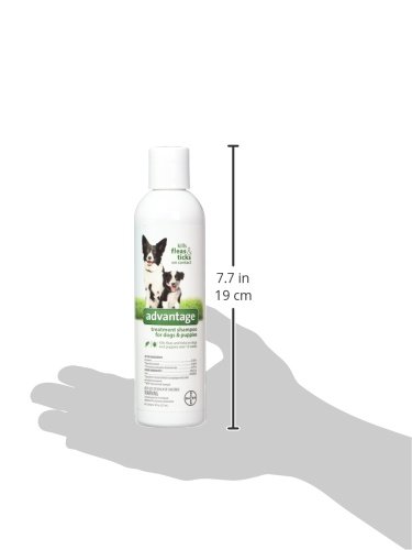 Advantage flea and tick shampoo for dogs reviews Clearance