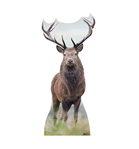 Image of Cardboard People Deer Life Size Cardboard Cutout Standup