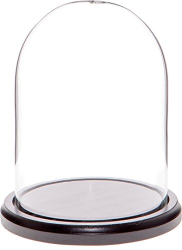 Plymor 4.5 x 6 Glass Display Dome Cloche (Black Wood Base) Plymor 4.5" x 6" Glass Display Dome Cloche (Black Wood Base)
