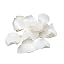 Bridal White